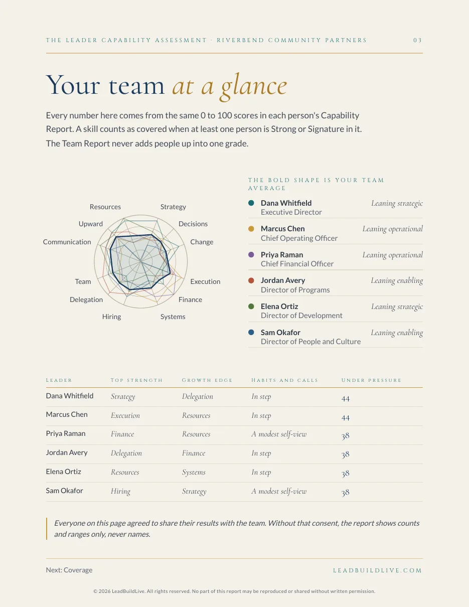 A sample Team Report page showing a team's combined skill map